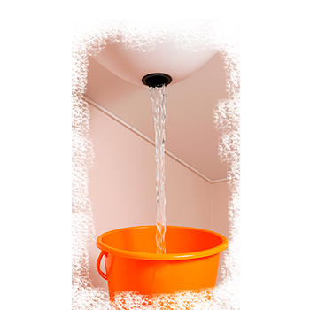 Отзывы о натяжных потолках